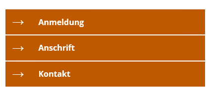 Menüpunkte orangene Boxen mit Text